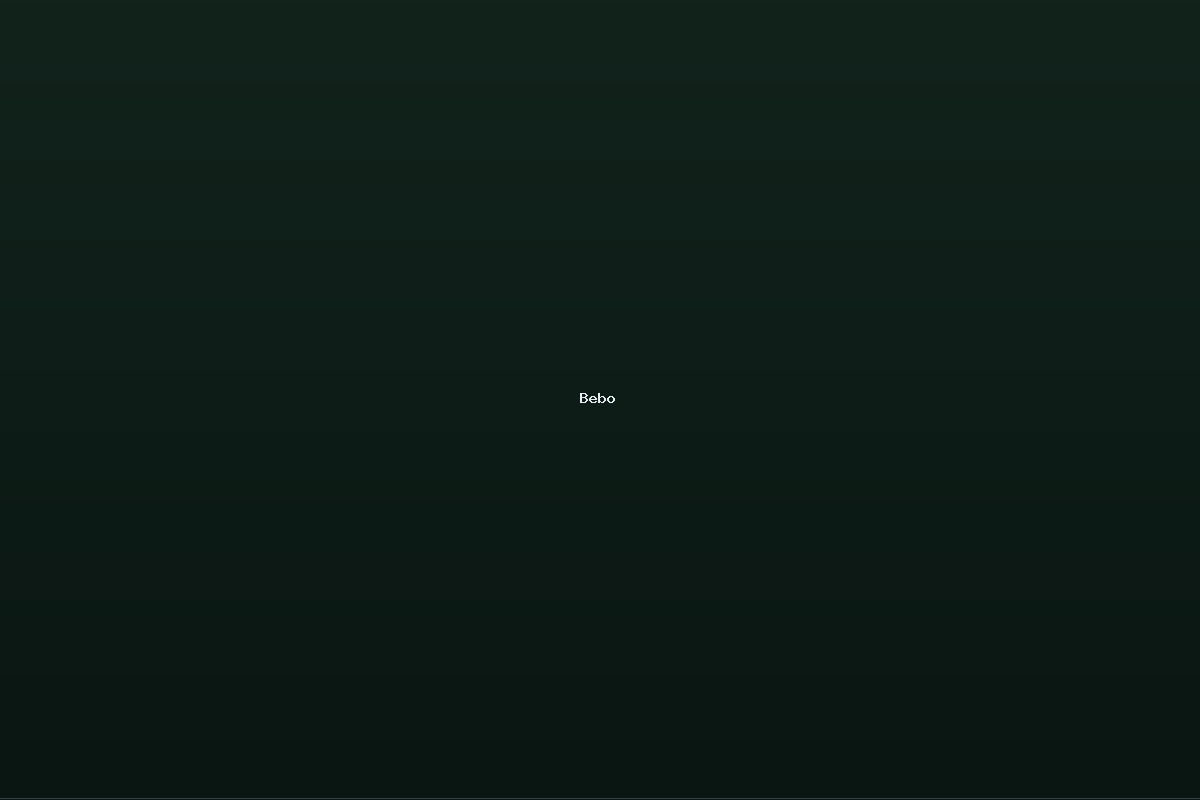 Bebo